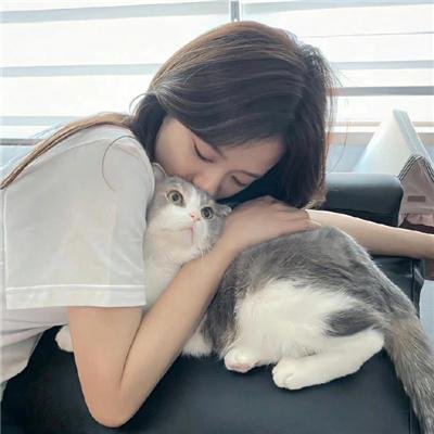 摩登50